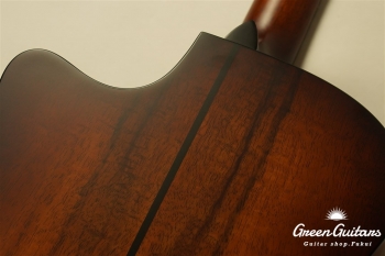 TGS2014 GSce-Koa
